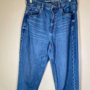 American Eagle x The Jeans Redesign High Rise Skinny Jeans